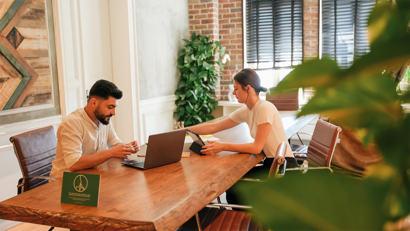 people working in an environmentally friendly office
